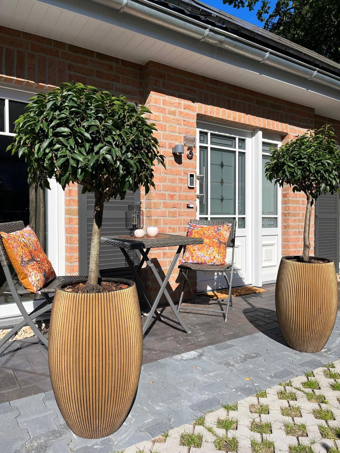 Amazonas Lounge 250 M Vom Spielcasino Entfernt, Meerblick Von Der Terrasse Aus Im Boutiqe Hotel Stil Bad Zwischenahn Εξωτερικό φωτογραφία